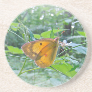 Posavasos De Arenisca Sulpher Butterfly