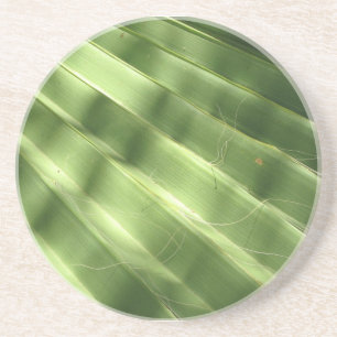 Posavasos De Arenisca Surfaces Guay Naturales_Fluted Frond