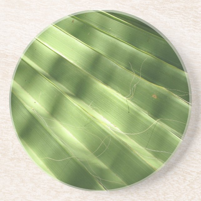 Posavasos De Arenisca Surfaces Guay Naturales_Fluted Frond (Frente)