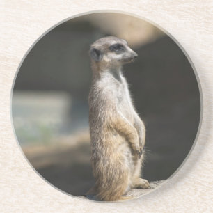 Posavasos De Arenisca Suricata
