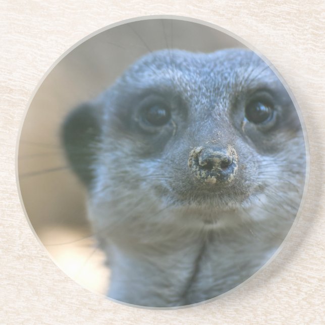 Posavasos De Arenisca Suricata divertida (Frente)