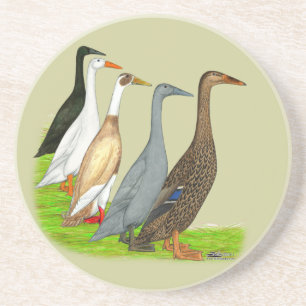 Posavasos De Arenisca Surtido de pato