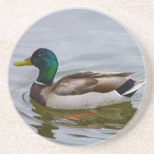 Posavasos De Arenisca Swim Mallard Swim