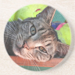 Posavasos De Arenisca Tabby Cat Love