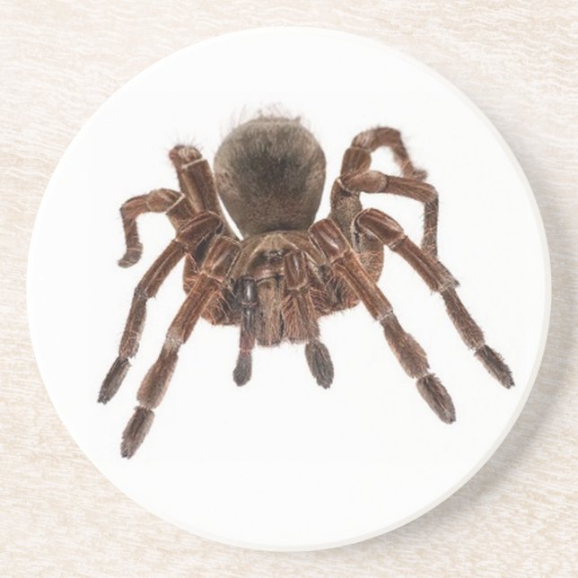 POSAVASOS DE ARENISCA TARANTULA (Frente)