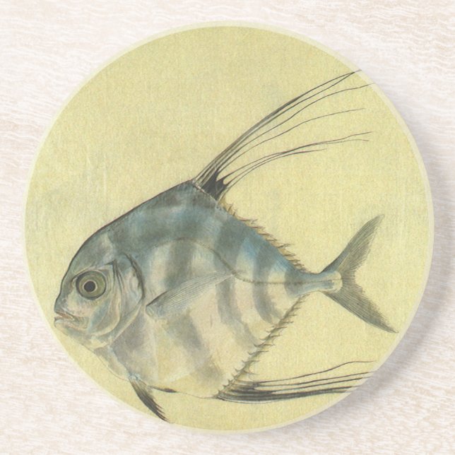 Posavasos De Arenisca Threadfin Trevally, pez pano africano (Frente)