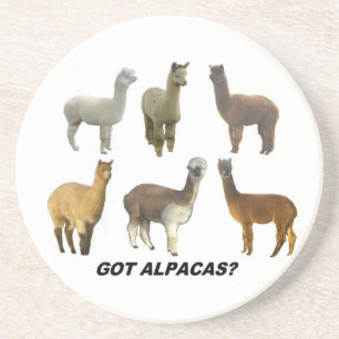 Posavasos De Arenisca ¿Tienes alpacas?