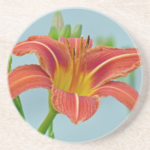 Posavasos De Arenisca Tiger Daylily