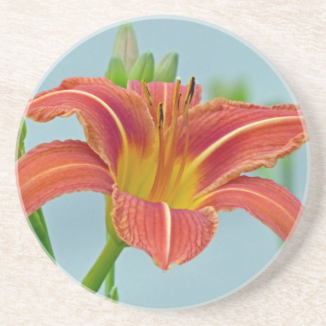 Posavasos De Arenisca Tiger Daylily (Frente)