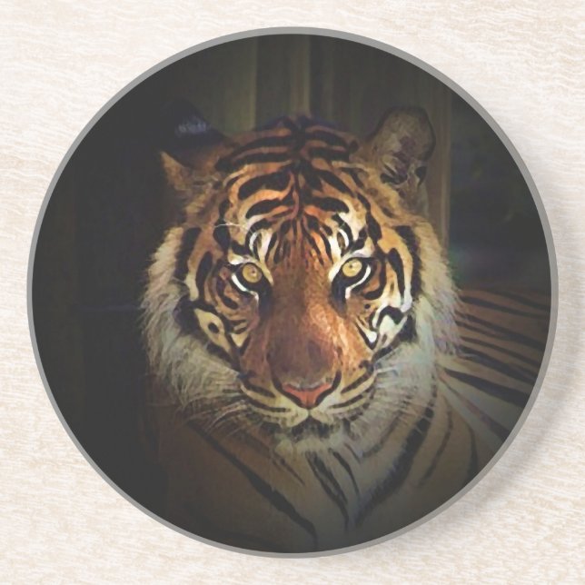 Posavasos De Arenisca Tigre (Frente)