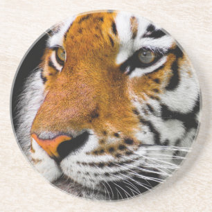 Posavasos De Arenisca Tigre
