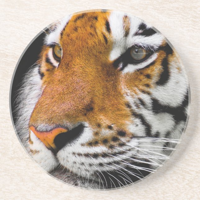 Posavasos De Arenisca Tigre (Frente)