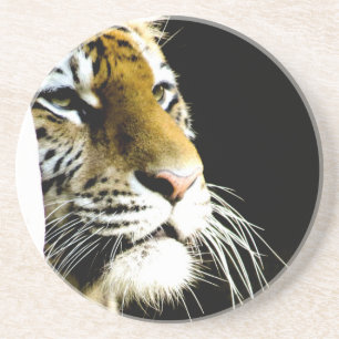 Posavasos De Arenisca Tigre