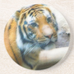 Posavasos De Arenisca Tigre