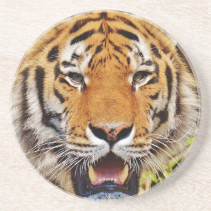 Posavasos De Arenisca Tigre
