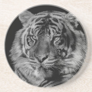 Posavasos De Arenisca Tigre blanco y negro