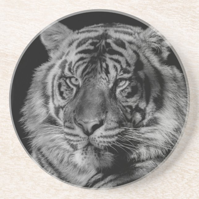Posavasos De Arenisca Tigre blanco y negro (Frente)