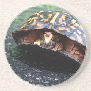 Posavasos De Arenisca Tortuga de caja