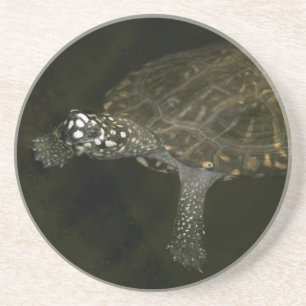 Posavasos De Arenisca Tortuga nadando