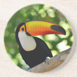 Posavasos De Arenisca Toucan