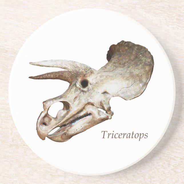 Posavasos De Arenisca Transplante de cráneo de Triceratops (Frente)