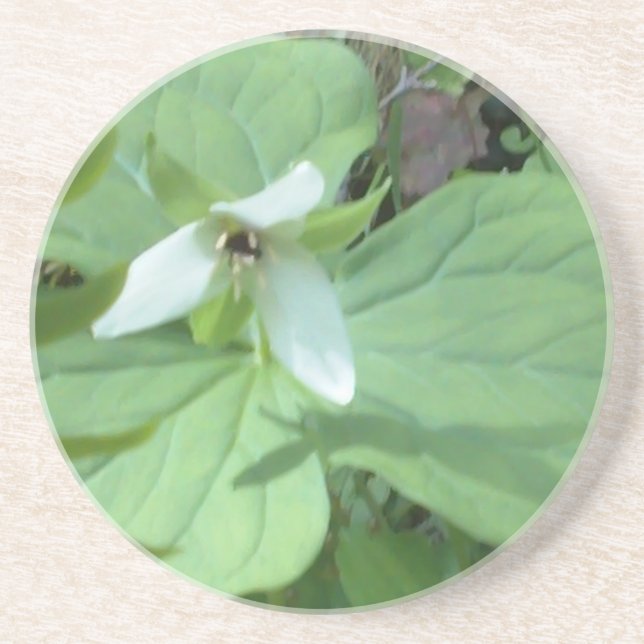 Posavasos De Arenisca trillium blanco con verde (Frente)