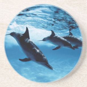 Posavasos De Arenisca Trío de delfines