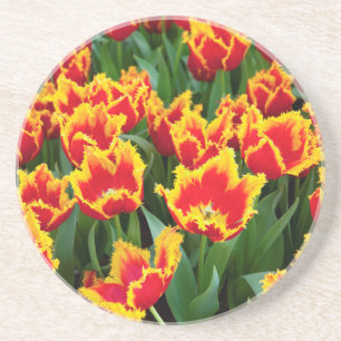 Posavasos De Arenisca Tulipa Fabio, Keukenhof, Países Bajos