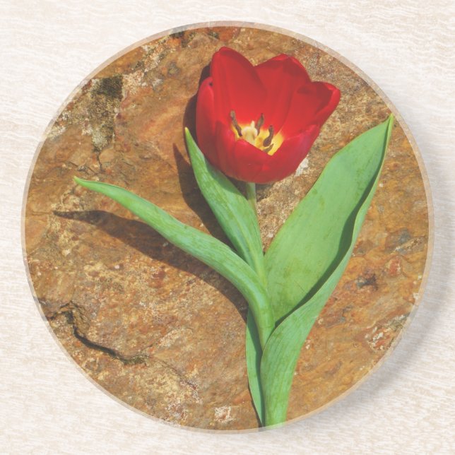 Posavasos De Arenisca Tulipán amarillo y rojo (Frente)
