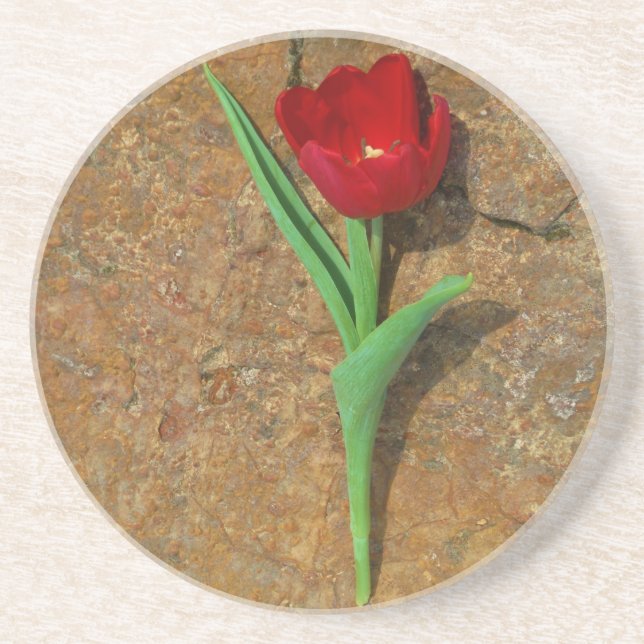 Posavasos De Arenisca tulipán amarillo y rojo (Frente)