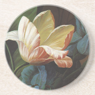 Posavasos De Arenisca Tulipán de jardín vintage en flor, flores victoria