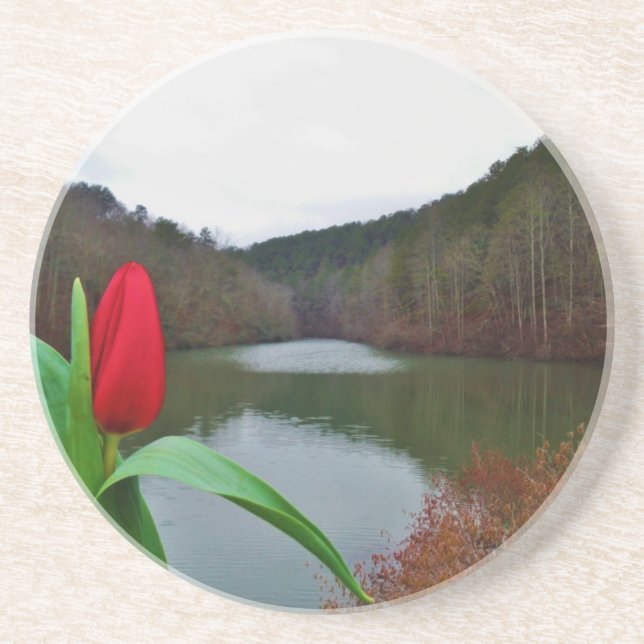 Posavasos De Arenisca Tulipán rojo primaveral en el lago Arrowhead (Frente)