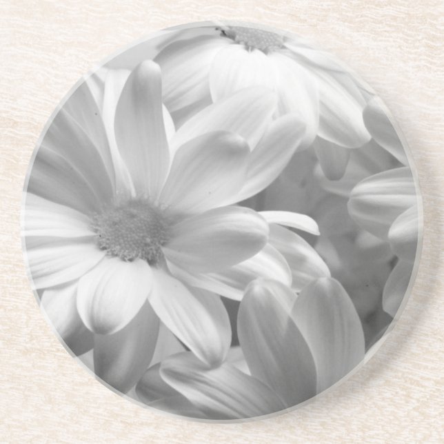 Posavasos De Arenisca Tulipanes en Keukenhof Gardens, Holanda.2 (Frente)