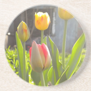 Posavasos De Arenisca Tulipanos