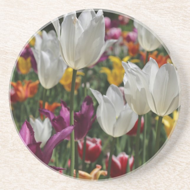 Posavasos De Arenisca Tulipanos (Frente)