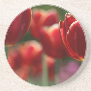 Posavasos De Arenisca Tulipanos
