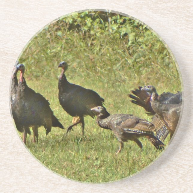 Posavasos De Arenisca Turquía salvaje, colores de camuflaje (Frente)