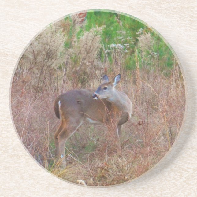 Posavasos De Arenisca Un ciervo en la hierba alta (Frente)