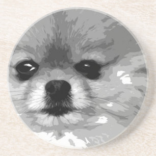 Posavasos De Arenisca Un Pomeranian blanco y negro
