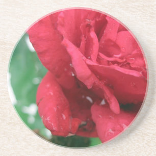 Posavasos De Arenisca Una rosa roja