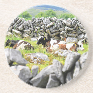 Posavasos De Arenisca Vacas moo