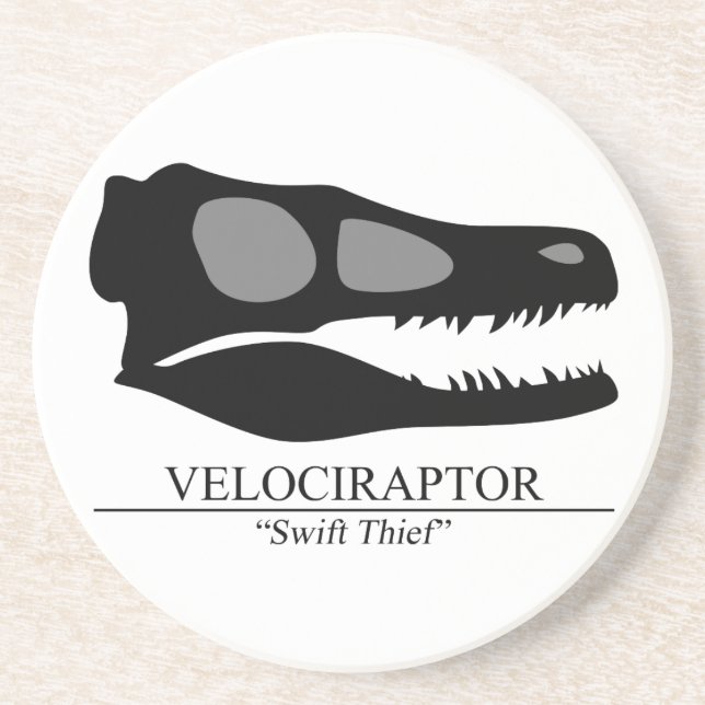 Posavasos De Arenisca Velociraptor Skull (Frente)