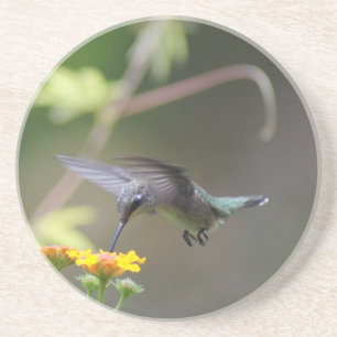 Posavasos De Arenisca Verano Hummer