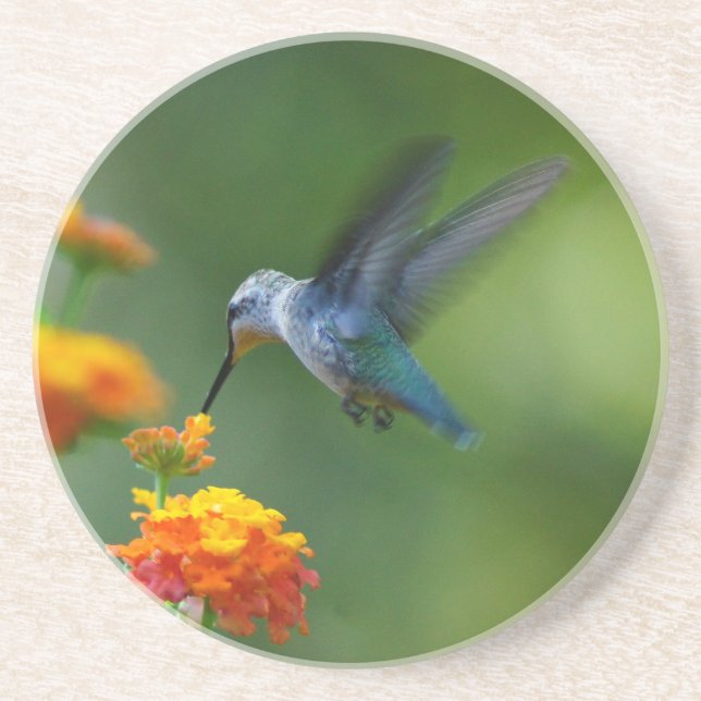 Posavasos De Arenisca Verano Hummer Coaster (Frente)