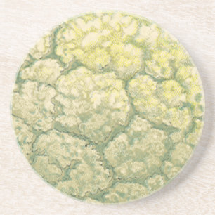 Posavasos De Arenisca Verduras de comida vintage verduras coliflor