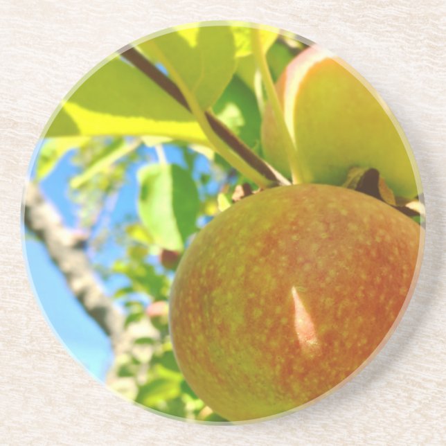 Posavasos De Arenisca Vermont Apple Coaster (Frente)