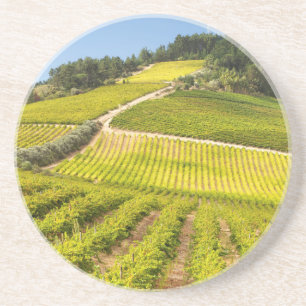 Posavasos De Arenisca Viñedo, Stellenbosch, Cabo Occidental