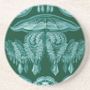 Posavasos De Arenisca Vintage Haeckel