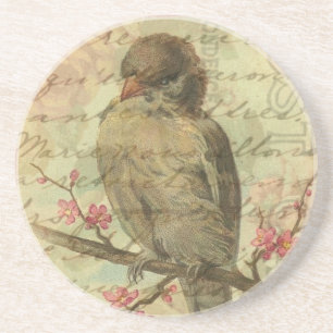 Posavasos De Arenisca Vintage Sparrow