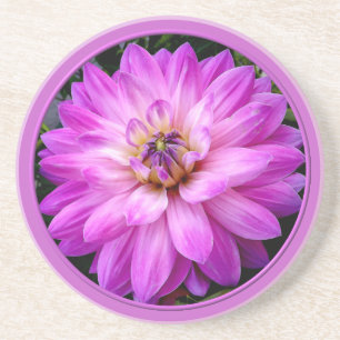 Posavasos De Arenisca Violet/Purple Dahlia